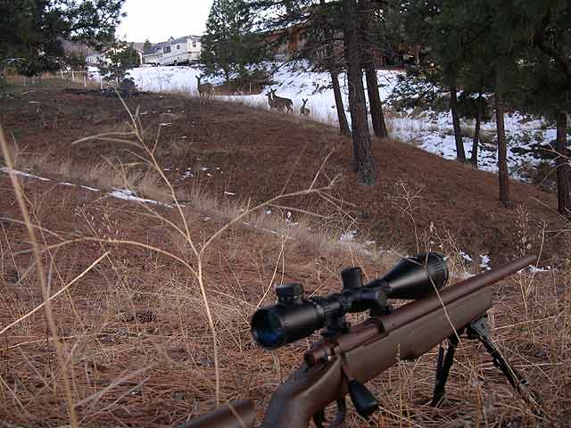 sc1a2deer