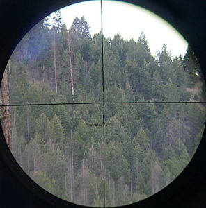 hensoldt7