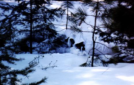mar99c