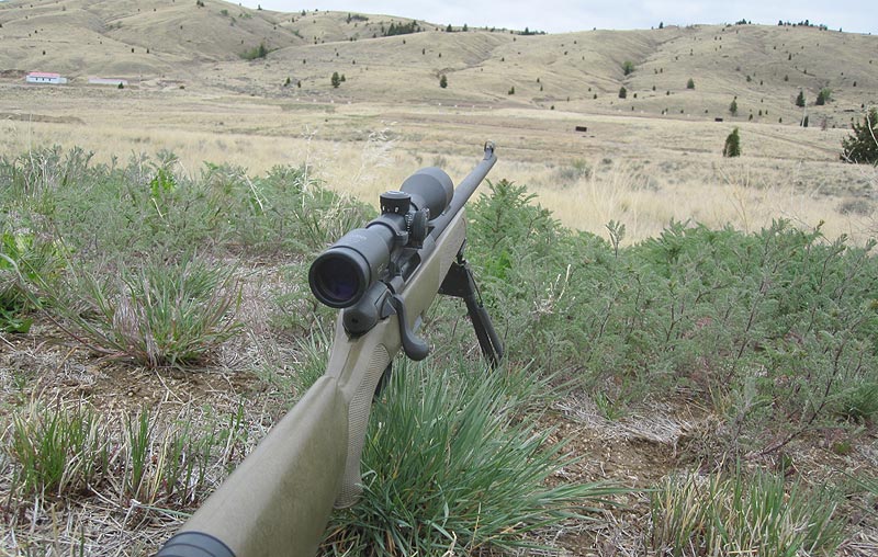 steyr8