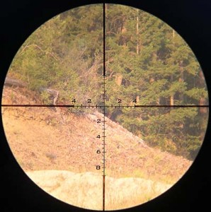 uso4